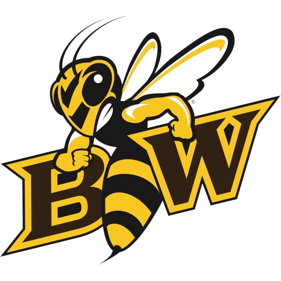 Image result for baldwin wallace yellow jackets