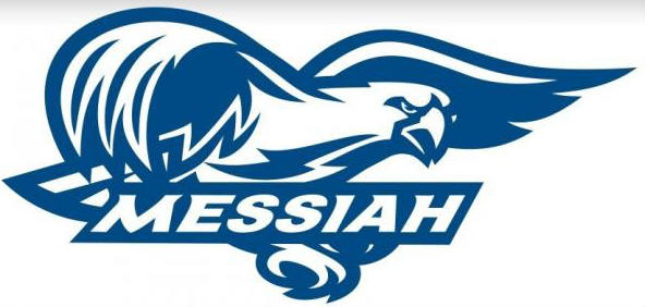 Image result for messiah falcons