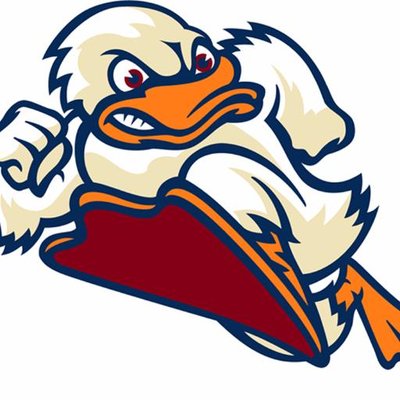 Image result for stevens ducks